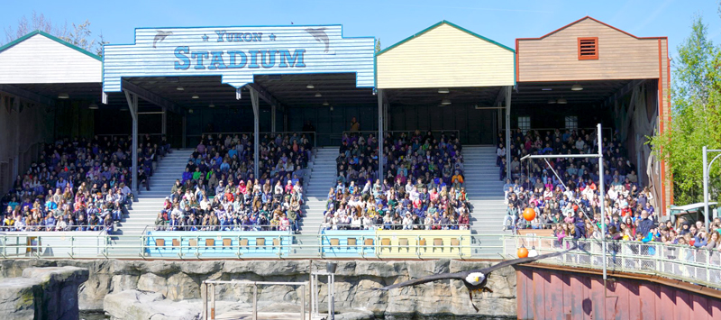 Berufe-Rallye zwischen Löwe, Eisbär und Gürteltier: spannender Zukunftstag im Zoo