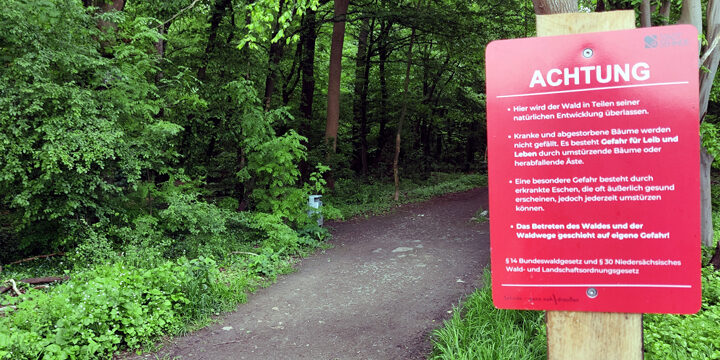 Sperrung des Ladeholzes aufgehoben