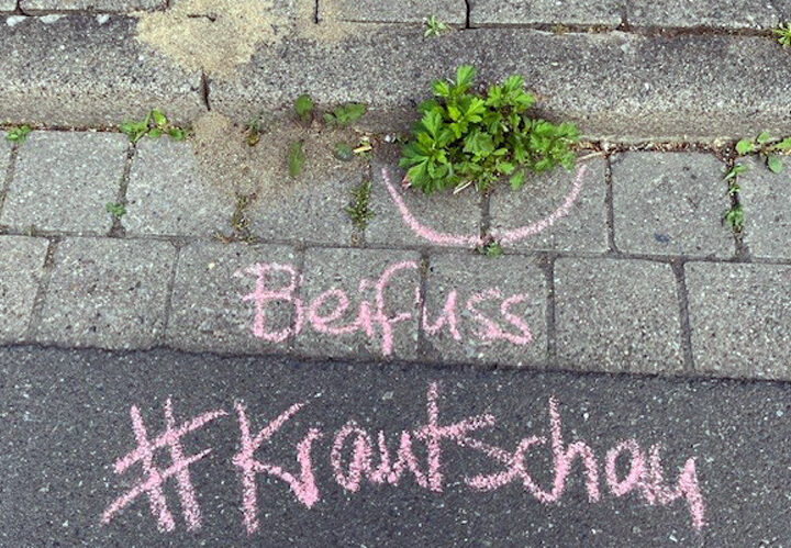 Mitmachen: Krautschau in Sehnde – mit Kreide Aufmerksamkeit für die städtische Flora schaffen