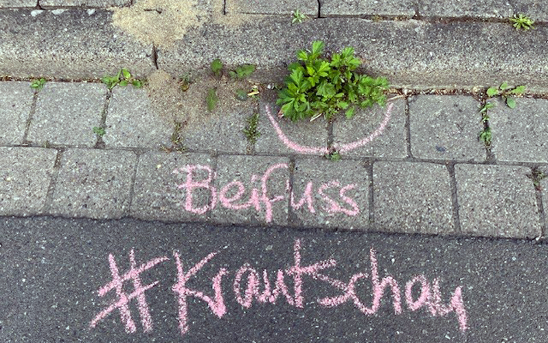 Mitmachen: Krautschau in Sehnde – mit Kreide Aufmerksamkeit für die städtische Flora schaffen
