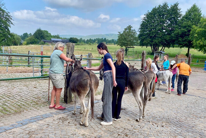 Eselwanderung im Weserbergland begeistert Ferienpass-Kinder