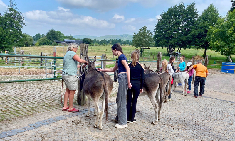 Eselwanderung im Weserbergland begeistert Ferienpass-Kinder