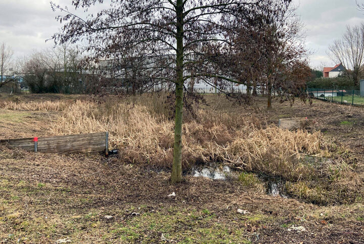 Baubeginn am Regenrückhaltebecken an der Achardstraße