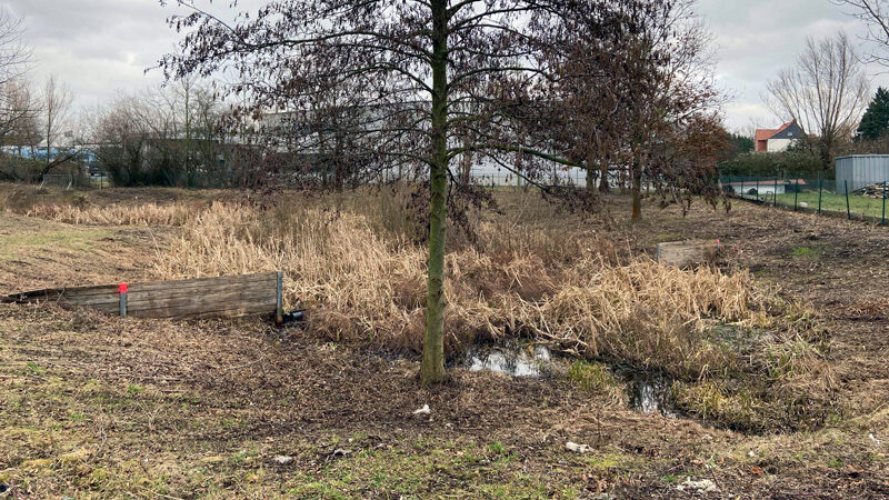 Baubeginn am Regenrückhaltebecken an der Achardstraße
