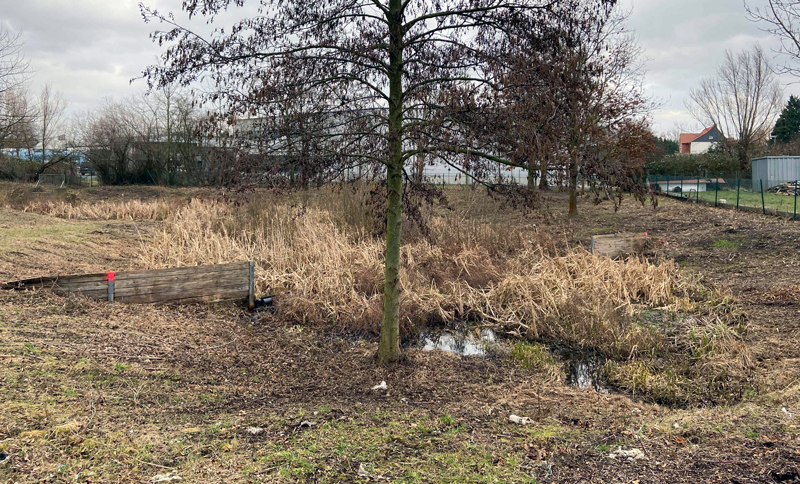 Baubeginn am Regenrückhaltebecken an der Achardstraße