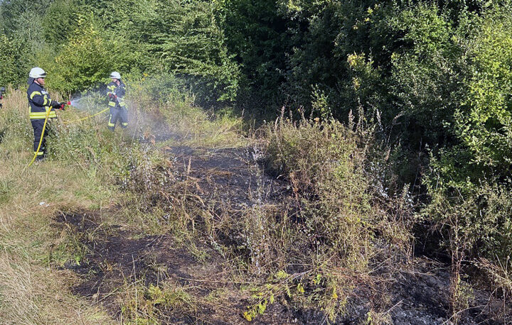 Kleinbrand am Waldrand – drei Einsätze in Sehnde