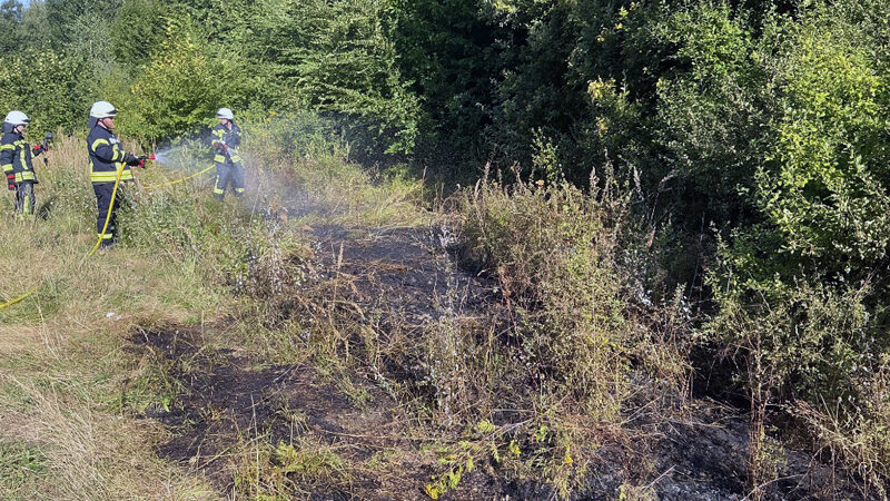 Kleinbrand am Waldrand – drei Einsätze in Sehnde