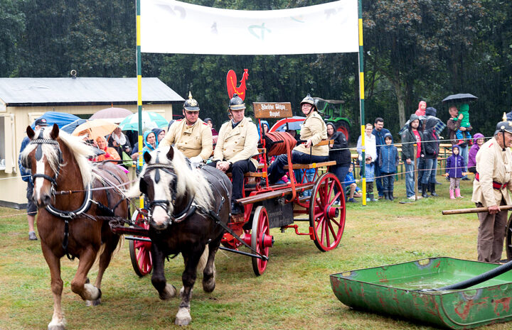 Burgdorfer Pferde- und Hobbytiermarkt mit „Blaulichtmeile“ und Mitmachzirkus