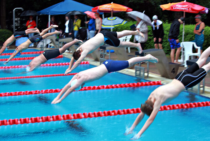 LSV-Schwimmer tagen: Neuwahlen und Neuorganisation im Blick