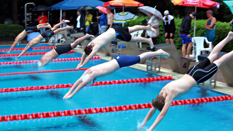 LSV-Schwimmer tagen: Neuwahlen und Neuorganisation im Blick