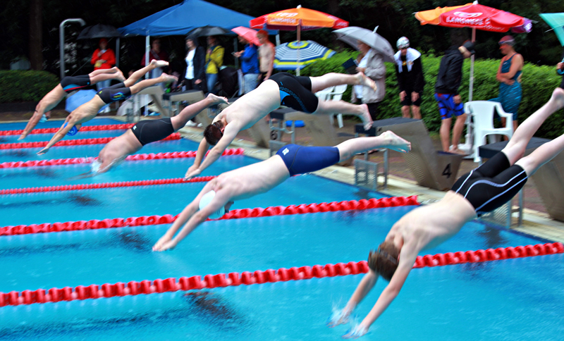 LSV-Schwimmer tagen: Neuwahlen und Neuorganisation im Blick