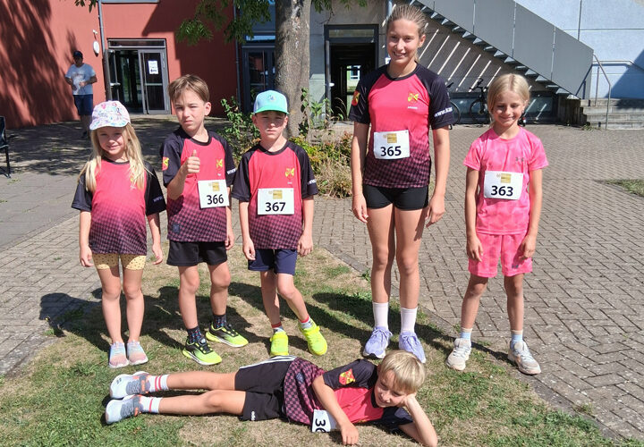 Hürden- und Läufertag in Sarstedt: Fünf MTV-er am Start