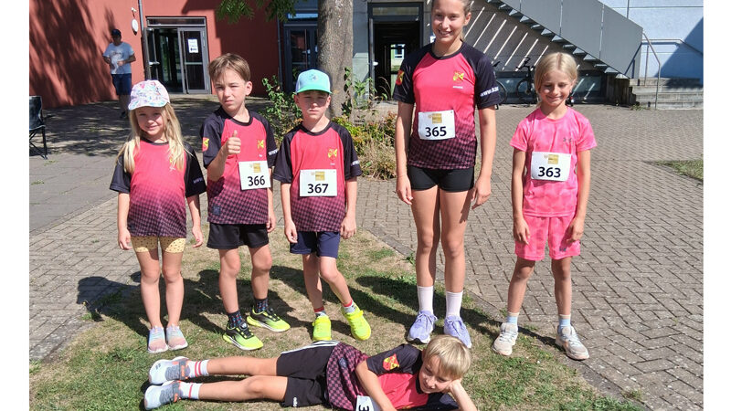 Hürden- und Läufertag in Sarstedt: Fünf MTV-er am Start