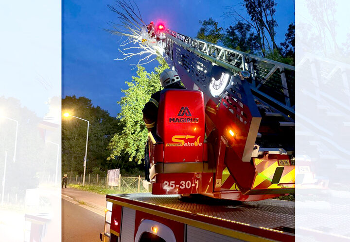 Technische Hilfeleistung: Feuerwehr entfernt trockene Äste aus Baumkrone in Sehnde