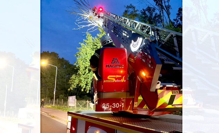 Technische Hilfeleistung: Feuerwehr entfernt trockene Äste aus Baumkrone in Sehnde