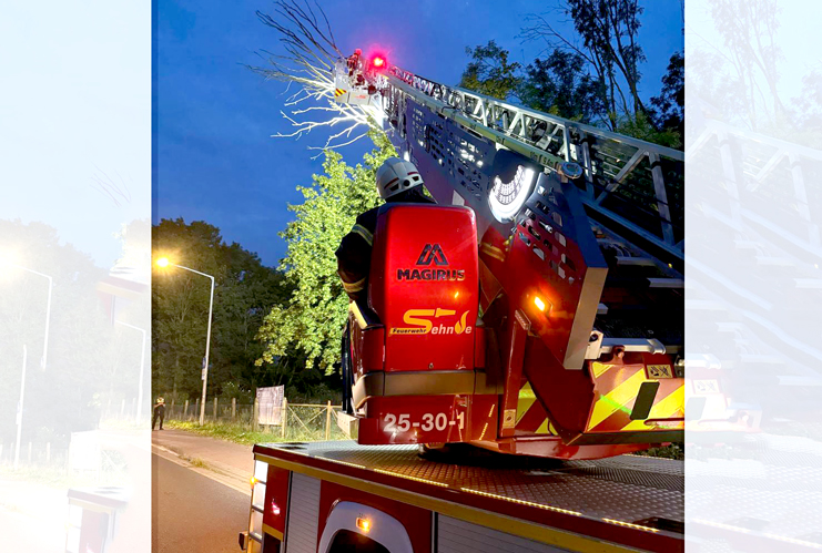 Technische Hilfeleistung: Feuerwehr entfernt trockene Äste aus Baumkrone in Sehnde