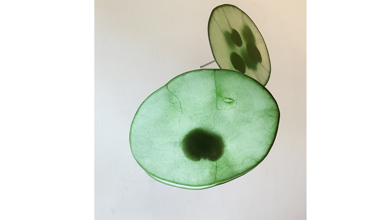 Finissage Kwanho Yuh: Willkommen im Wunderland
